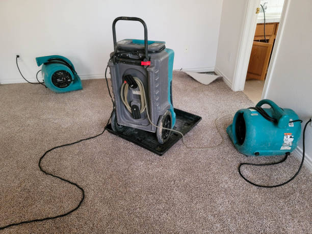 Best Water damage repair service  in Las Animas, CO
