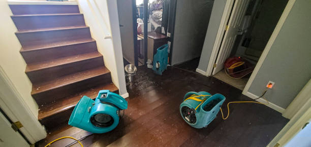 Best Water damage restoration services  in Las Animas, CO