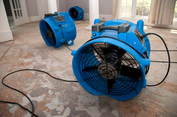 Best Water damage restoration company  in Las Animas, CO