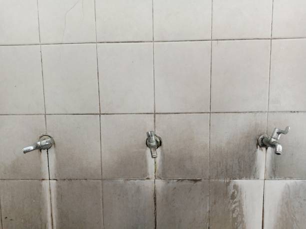 Best Carpet water damage restoration  in Las Animas, CO