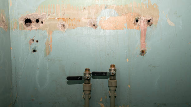 Best Basement water damage restoration  in Las Animas, CO