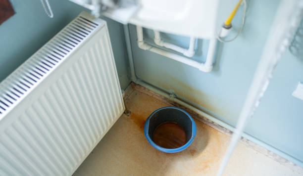 Best Fire Damage Restoration  in Las Animas, CO