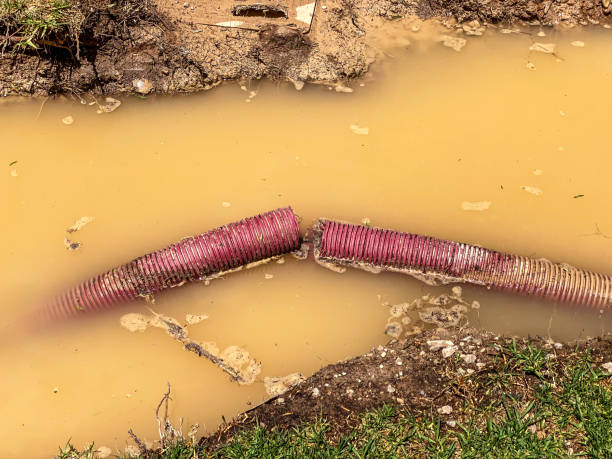  Las Animas, CO Water damage restoration Pros